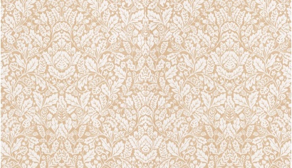 MYSTERY PROTECTION 101611111