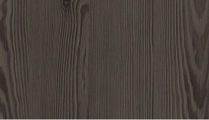 Anthracite Mountain Larch