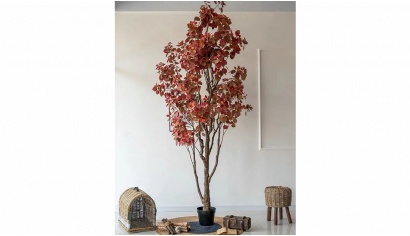 Pomegranate Tree 2