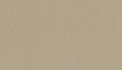 Brushed Brass