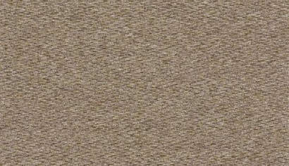 Rich Plain Brown
