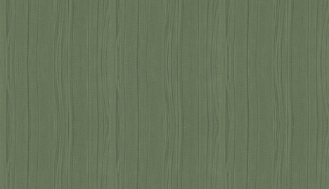 ORGANZA