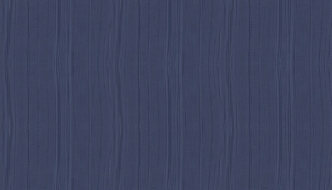 ORGANZA