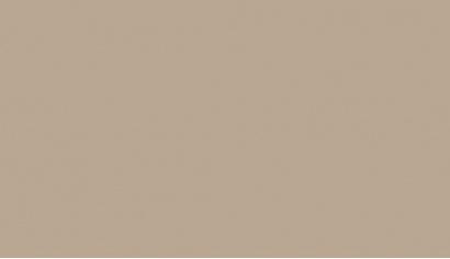 Blushing Peach 20047